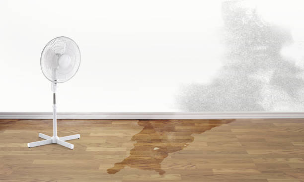 Water damage restoration process in Nassau Village Ratliff, FL