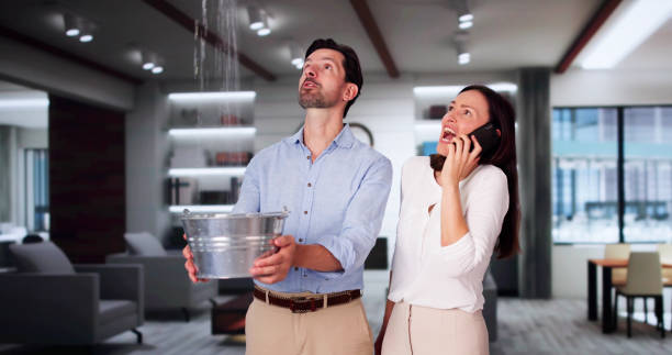 Best Water damage cleanup near me  in Nassau Village Ratliff, FL