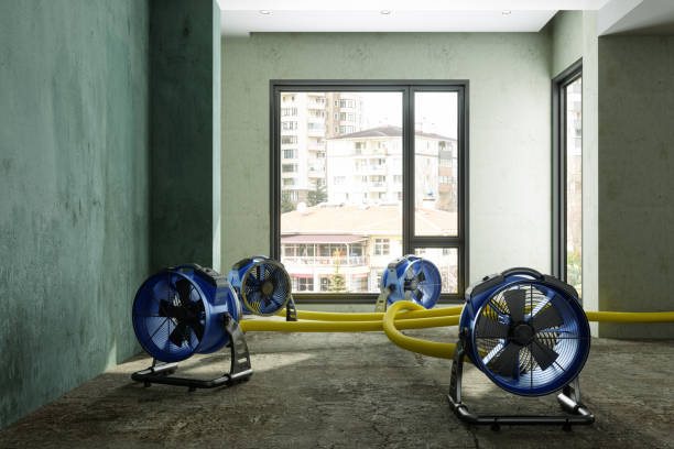 Best Commercial water damage restoration  in Nassau Village Ratliff, FL